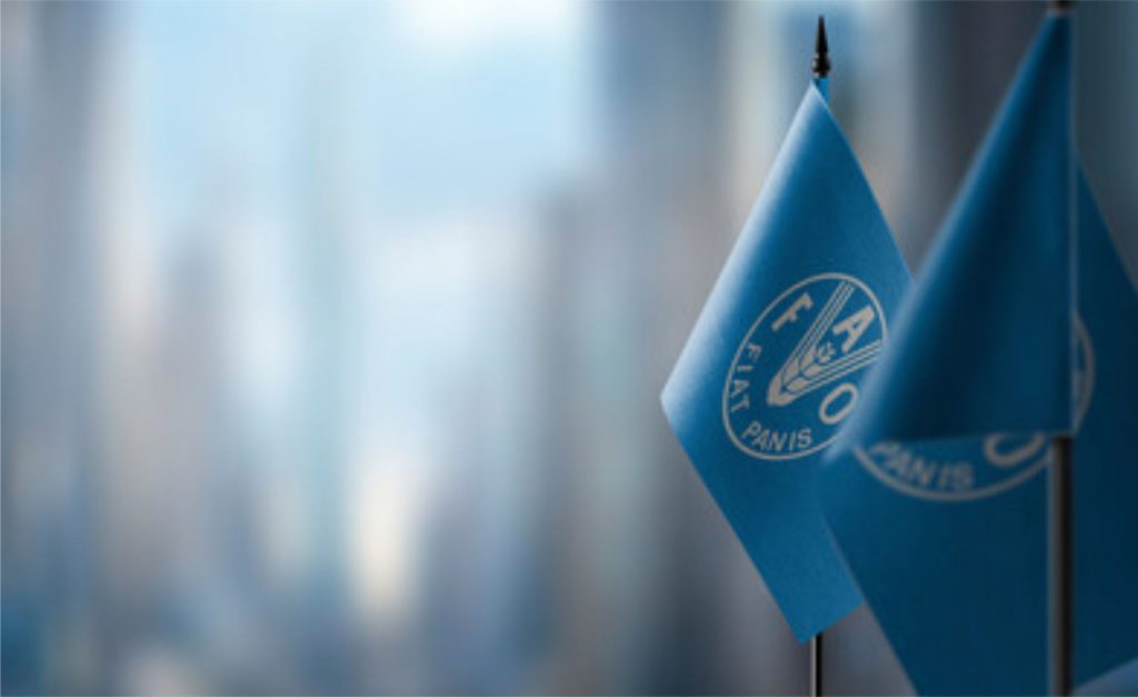 Preços dos alimentos se mantêm estáveis em agosto, aponta FAO 📊