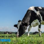 A sustentabilidade, nesse sentido, não pode ser apenas uma lista de compromissos com organizações internacionais; deve ser uma construção concreta no terreno.