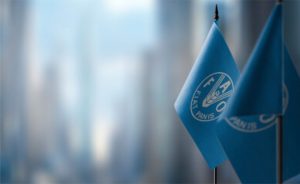 Preços dos alimentos se mantêm estáveis em agosto, aponta FAO 📊