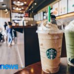 A Starbucks não inventou a roda – nem a vaca – mas acelerou uma revolução láctea que já estava em andamento.