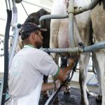 🚜 Poço Redondo, Porto da Folha e Glória impulsionam o leite sergipano.