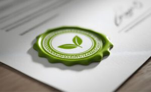 ♻️ O paradoxo verde: brasileiros querem sustentabilidade, mas sem pagar mais