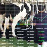 A iniciativa representa um novo passo na integração entre o mercado financeiro e o setor lácteo global