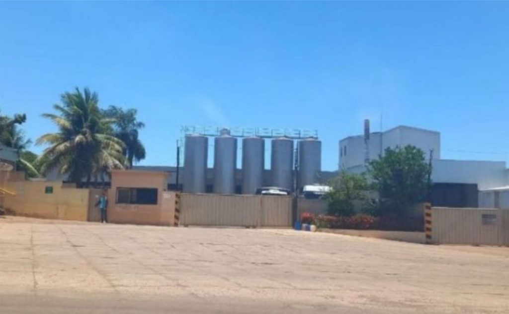 Produtores enfrentam atrasos de até seis meses e temem abandonar a atividade.