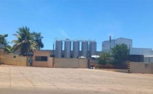 Produtores enfrentam atrasos de até seis meses e temem abandonar a atividade.