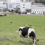 Nestlé sai da aliança global do metano, mas mantém meta de carbono zero.