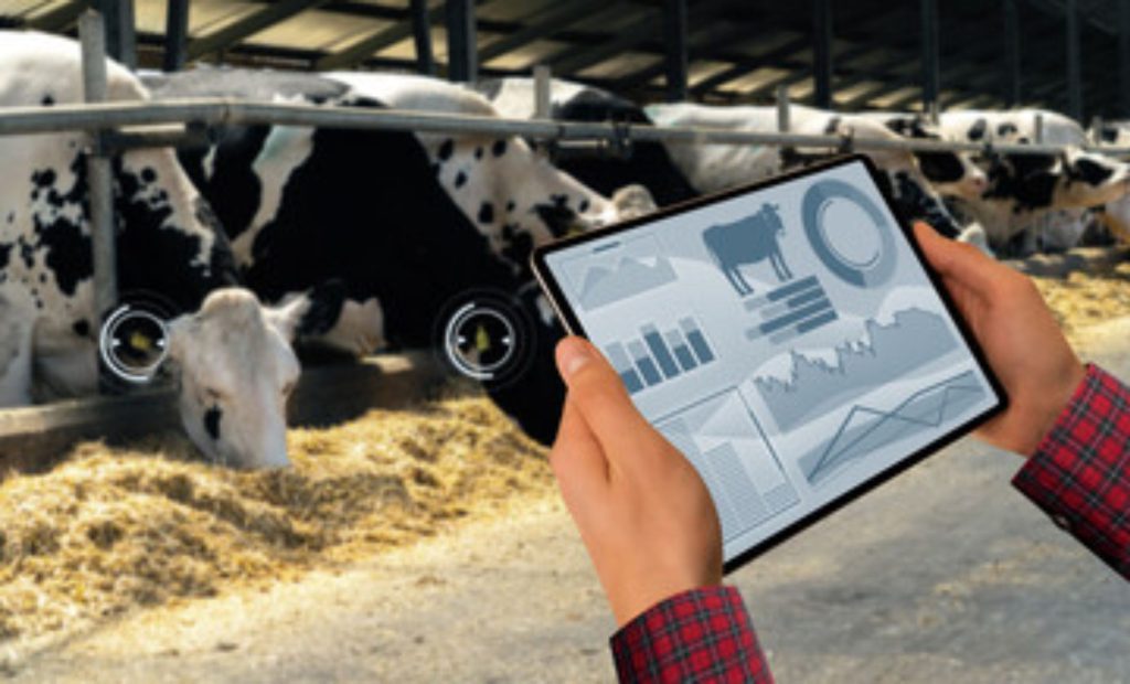 🐄 LeiteBem: app que aumenta em 25% a produção de leite em Goiás