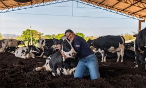 Empresas e produtores se unem por um leite sustentável e rentável no Brasil.