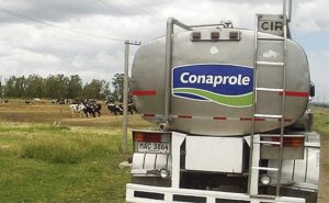 💧 Tambo Sustentable coloca Conaprole entre as Top 5 do leite global