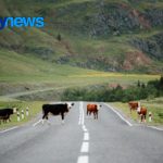 Não se trata apenas de vender mais leite em pó, mas de transformar conhecimento, inovação e reputação em valor agregado.