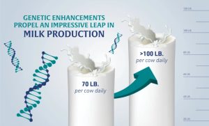 Inovação genética e dados de precisão colocam o leite dos EUA na dianteira global da proteína.