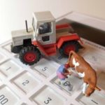 Produtividade e gestão são as chaves para atravessar a crise. Leite