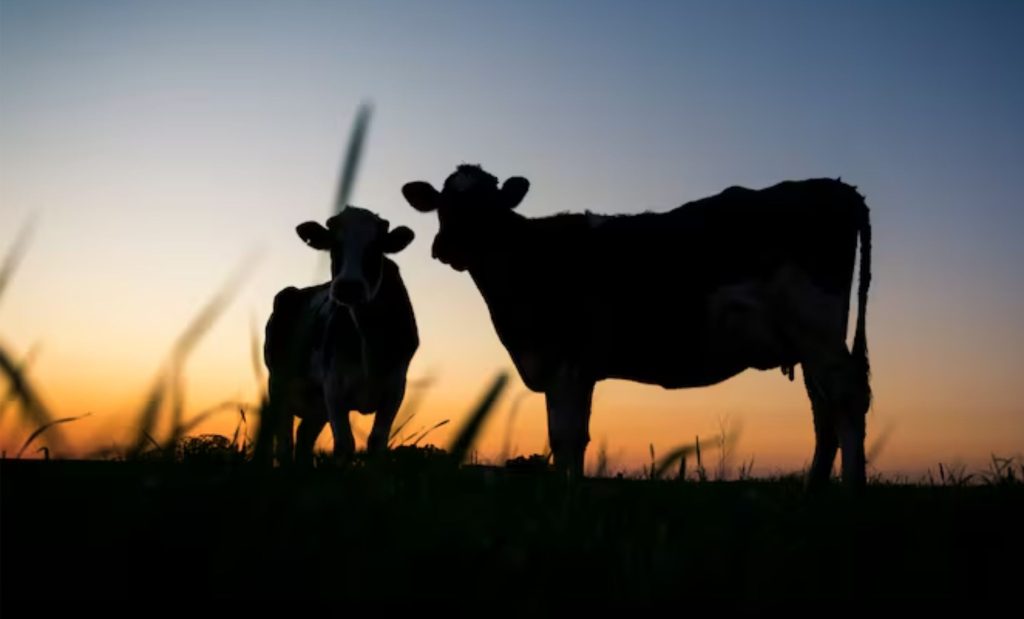 Danone. O crescimento populacional, a urbanização e as mudanças de hábitos alimentares criam grandes oportunidades de investimento