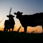 Danone. O crescimento populacional, a urbanização e as mudanças de hábitos alimentares criam grandes oportunidades de investimento