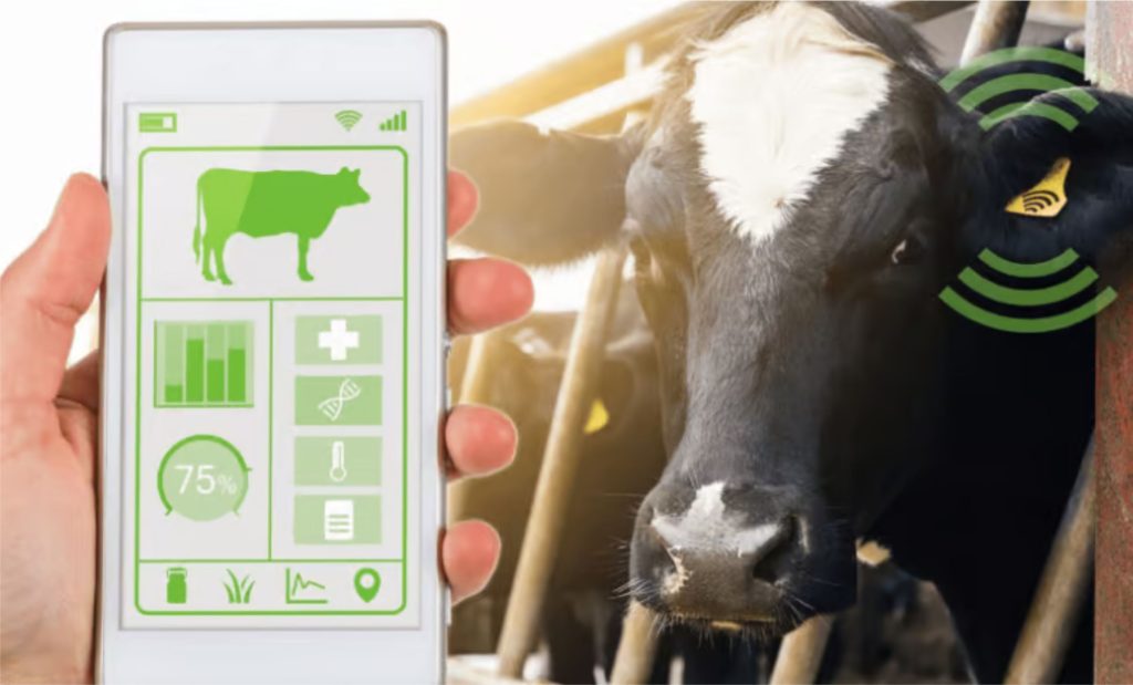 🌱 Proteínas híbridas e IA: o novo DNA da indústria láctea