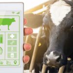 🌱 Proteínas híbridas e IA: o novo DNA da indústria láctea