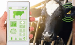 🌱 Proteínas híbridas e IA: o novo DNA da indústria láctea
