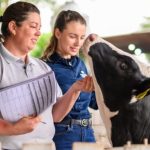 🥛 Goiás recebe projeto-piloto de leite sustentável com Piracanjuba