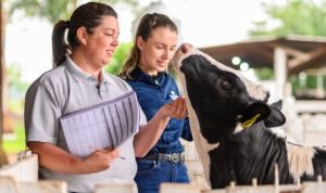 🥛 Goiás recebe projeto-piloto de leite sustentável com Piracanjuba