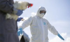 🇨🇭 Vírus H5N1 e tarifas dos EUA ameaçam exportações e tradição suíça. Queijos suíços