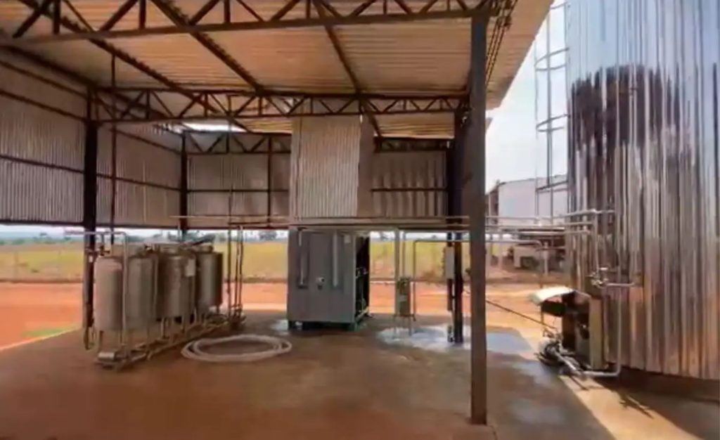 💪 Com apoio técnico e genética de ponta, agricultores familiares do Araguaia elevam produtividade e qualidade do leite em Mato Grosso.