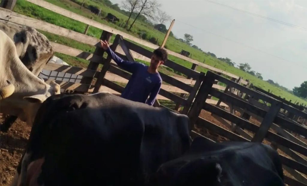 Vacas