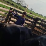 Vacas