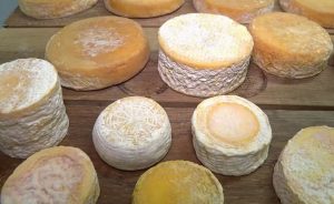 No Sul de Minas, cada queijo autoral carrega a história, o talento e o sabor de quem transforma leite em arte.