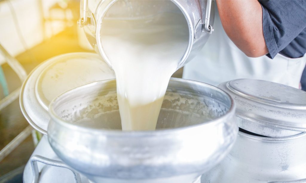 🐄 Leite barato, custo alto: mercado discute contrato futuro como saída, Produtor.