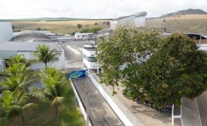 Do leite ao café, a Damare moderniza a marca e mira um crescimento de até 30% em 2026 💰