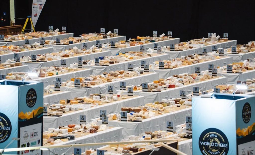 Com 50 medalhas, o Brasil mostra força técnica e potencial de mercado no maior concurso global de queijos 🧭 World Cheese Awards