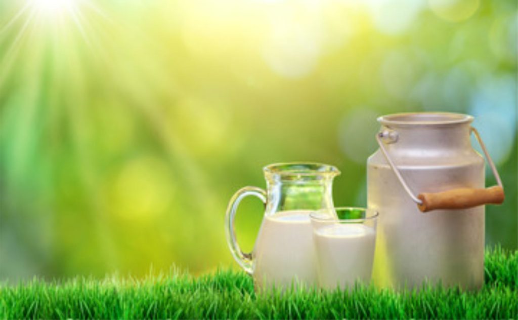 A produção de leite em Goiás se expande, impulsionada por municípios líderes e por um cenário internacional que mexe com preços e importações. 📊