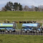 A fraqueza do GDT intensifica as dúvidas do mercado sobre a estabilidade da previsão de preço da Fonterra. 🔍