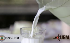 🧪 Soluções naturais da UEM fortalecem a higiene da ordenha e protegem a cadeia leiteira.