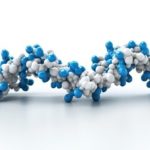 MG acelera no leite A2 e mira liderança nacional do segmento 📈🐄 1 Minas coloca o leite A2 no centro da agenda para elevar valor agregado e fortalecer a liderança do Estado no mercado nacional. 🌟
