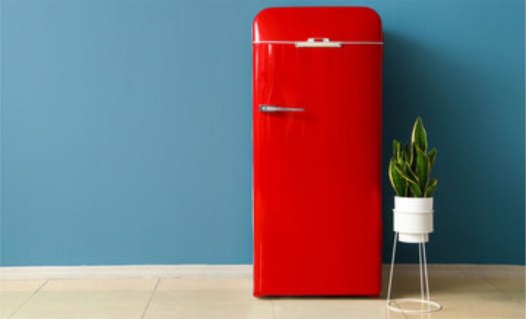 ❄️ Especialistas explicam por que o congelamento tem prazo: veja recomendações simples para evitar desperdício e manter segurança alimentar. Freezer