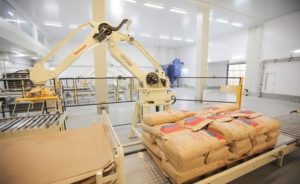 África absorve quase dois terços da WMP uruguaia em 2025 🌍