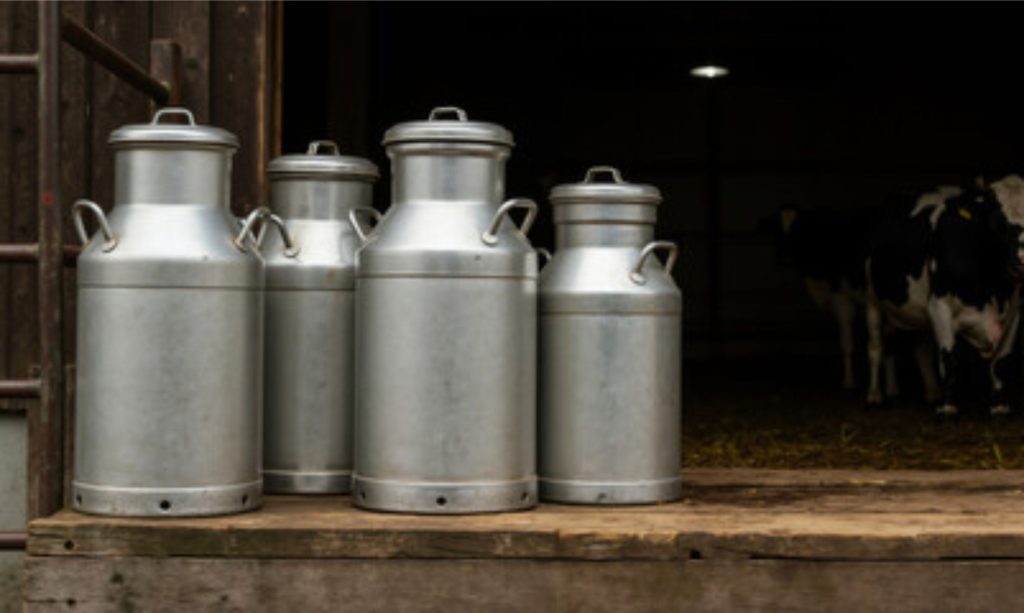 ⚠️ A crise no leite expõe gargalos no acesso ao Pronaf e acelera o êxodo de famílias produtoras no Rio Grande do Sul.