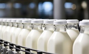 🥛 Com genes mais frequentes em raças zebuínas, o leite A2 pode abrir nova rota de valor para Minas, apontam veterinários, laticínios e pesquisadores.