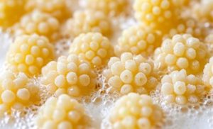 O kefir reafirma o papel dos laticínios como aliados da saúde intestinal e da inovação alimentar, unindo tradição e ciência em um só copo.