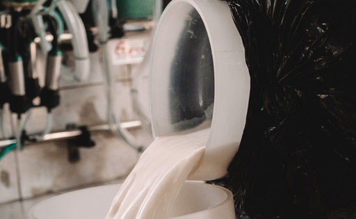 Mercado futuro do leite ganha força em meio à crise das importações