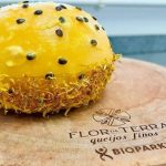 Queijos finos brasileiros conquistam o mundo e fortalecem o agronegócio no PR