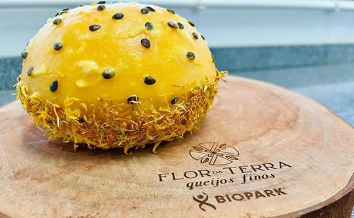 Queijos finos brasileiros conquistam o mundo e fortalecem o agronegócio no PR