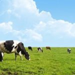 A CNA reforça denúncia de dumping e critica a decisão do MDIC, enquanto importações avançam e pressionam produtores brasileiros ⚠️