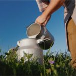 Queda de 6,46% no Leite de Mato Grosso: Chuvas Aumentam Oferta e Derrubam Preços 🌧️ 2 Leite a R$ 2,06/l em MT: Recuo Forte com Demanda Fria nos Derivados 😟📉 Preco