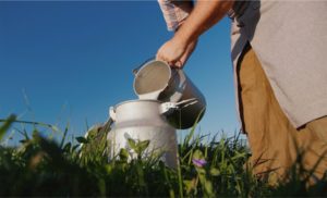 Leite a R$ 2,06/l em MT: Recuo Forte com Demanda Fria nos Derivados 😟📉 Preco