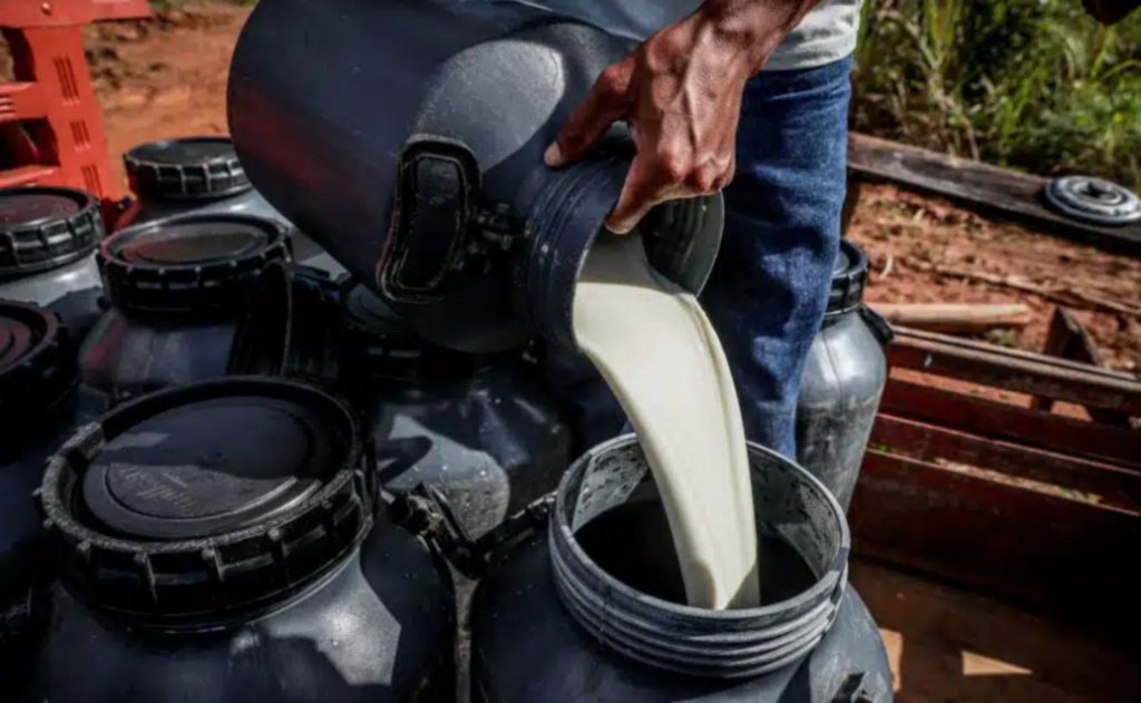 Plataforma Rehsult oferece gestão técnica e financeira mais precisa para cooperativas mato-grossenses. 💼