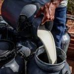 Gestão 4.0: Rehsult transforma assistência técnica das cooperativas 🌐 1 Plataforma Rehsult oferece gestão técnica e financeira mais precisa para cooperativas mato-grossenses. 💼