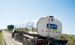 Batendo a marca: Cooperativa uruguaia supera 1,6 bilhão de litros e mira recorde histórico na produção.