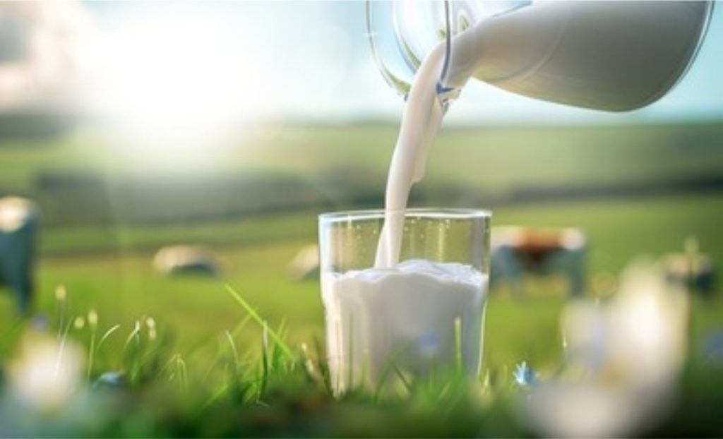 Mais Leite Saudável vincula incentivo tributário à assistência técnica aos produtores 🚜